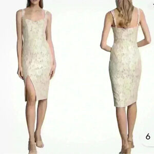 NWT Dress the Population Cadence Dress

XXS